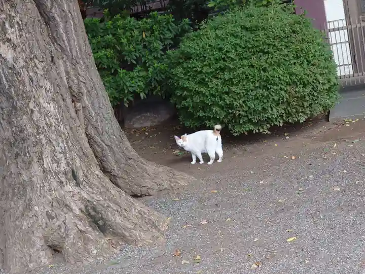 平塚神社(東京都)