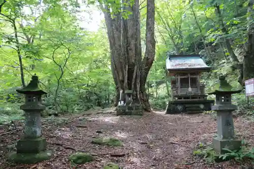 剣桂神社の景色