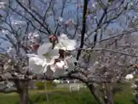 菟足神社(愛知県)