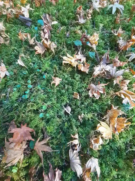 久斯神社(奈良県)