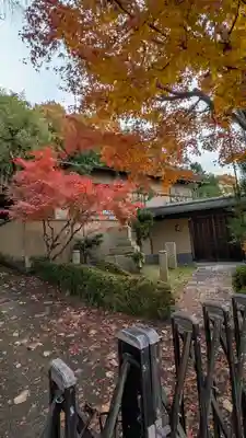 大徳寺(京都府)
