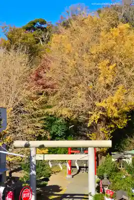 雷神社(神奈川県)