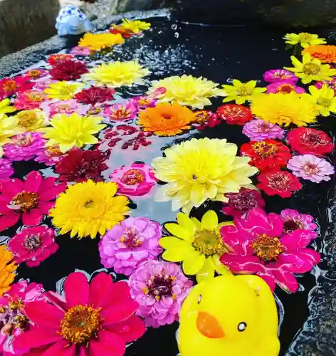 大鏑神社の手水