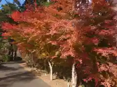 塩船観音寺の自然