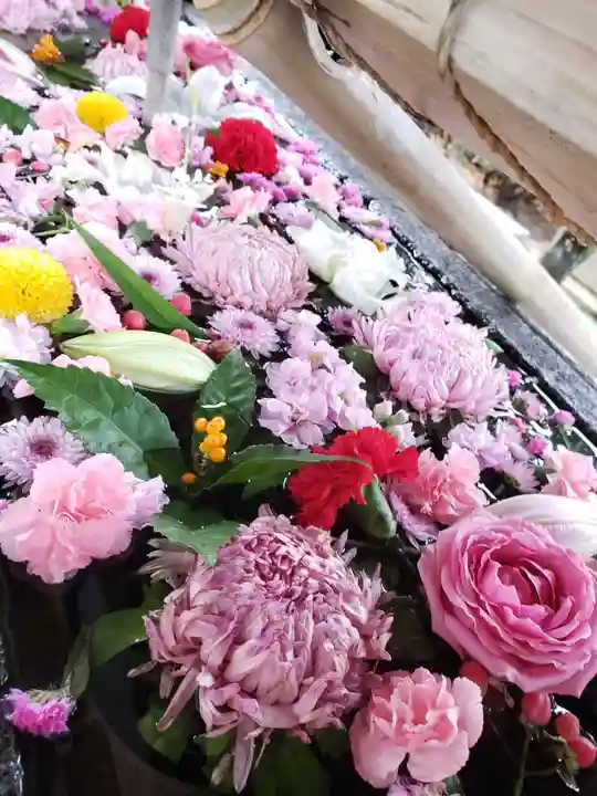 鳩森八幡神社(東京都)