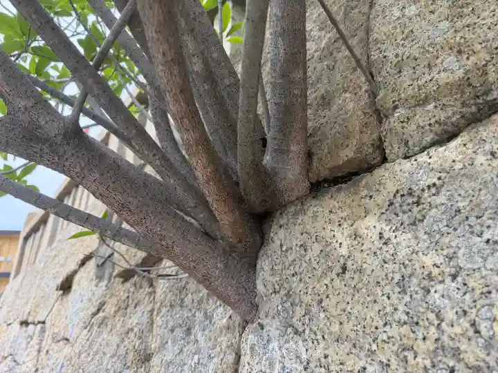 伊和都比売神社の{uncategorized: "未分類", other: "その他", undefined: "問題あり", building: "その他建物", grave: "お墓", sacred_gate: "鳥居", guardian: "狛犬", statue: "像", buddha: "仏像", history: "歴史", nature: "自然", garden: "庭園", animal: "動物", pagoda: "塔", temizu: "手水舎", mountain_gate: "山門・神門", sanctuary: "本殿・本堂", subordinate: "末社・摂社", art: "芸術", scenery: "景色", jizo: "地蔵", ema: "絵馬", goshuin: "御朱印", omikuji: "おみくじ", items: "授与品その他", amulet: "お守り", goshuincho: "御朱印帳", eats: "食事", festival: "お祭り", votive_dance: "神楽", shichigosan: "七五三参", wedding: "結婚式", experience: "体験その他", initially: "初詣", around: "周辺", anti_infection: "感染症対策"}