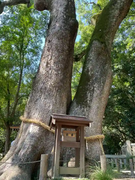 伊弉諾神宮(兵庫県)