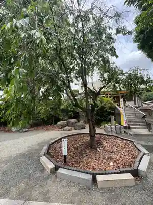 伊勢原大神宮(神奈川県)