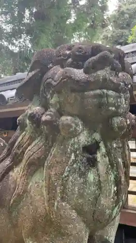 美具久留御魂神社の狛犬