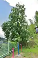 西念寺(福島県)