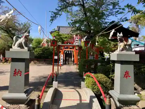 塚越稲荷神社の狛犬