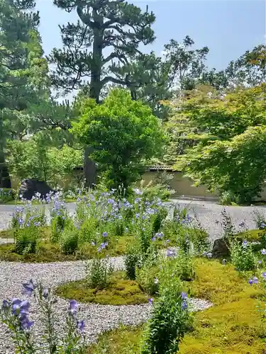 廬山寺（廬山天台講寺）(京都府)