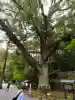 事任八幡宮の{uncategorized: "未分類", other: "その他", undefined: "問題あり", building: "その他建物", grave: "お墓", sacred_gate: "鳥居", guardian: "狛犬", statue: "像", buddha: "仏像", history: "歴史", nature: "自然", garden: "庭園", animal: "動物", pagoda: "塔", temizu: "手水舎", mountain_gate: "山門・神門", sanctuary: "本殿・本堂", subordinate: "末社・摂社", art: "芸術", scenery: "景色", jizo: "地蔵", ema: "絵馬", goshuin: "御朱印", omikuji: "おみくじ", items: "授与品その他", amulet: "お守り", goshuincho: "御朱印帳", eats: "食事", festival: "お祭り", votive_dance: "神楽", shichigosan: "七五三参", wedding: "結婚式", experience: "体験その他", initially: "初詣", around: "周辺", anti_infection: "感染症対策"}