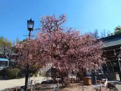 岡崎天満宮(愛知県)