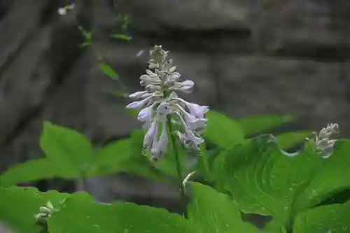 鹿島大神宮の庭園