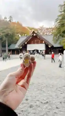 北海道神宮のおみくじ