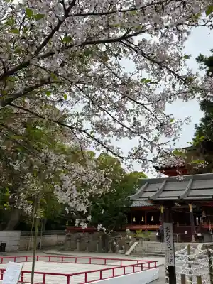 石清水八幡宮の{uncategorized: "未分類", other: "その他", undefined: "問題あり", building: "その他建物", grave: "お墓", sacred_gate: "鳥居", guardian: "狛犬", statue: "像", buddha: "仏像", history: "歴史", nature: "自然", garden: "庭園", animal: "動物", pagoda: "塔", temizu: "手水舎", mountain_gate: "山門・神門", sanctuary: "本殿・本堂", subordinate: "末社・摂社", art: "芸術", scenery: "景色", jizo: "地蔵", ema: "絵馬", goshuin: "御朱印", omikuji: "おみくじ", items: "授与品その他", amulet: "お守り", goshuincho: "御朱印帳", eats: "食事", festival: "お祭り", votive_dance: "神楽", shichigosan: "七五三参", wedding: "結婚式", experience: "体験その他", initially: "初詣", around: "周辺", anti_infection: "感染症対策"}