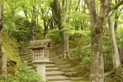 常寂光寺(京都府)