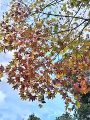 鹿島大神宮(福島県)