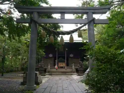 児玉神社の鳥居