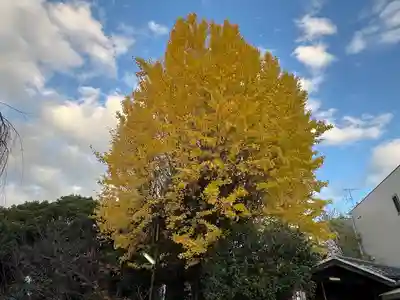 大報恩寺（千本釈迦堂）(京都府)