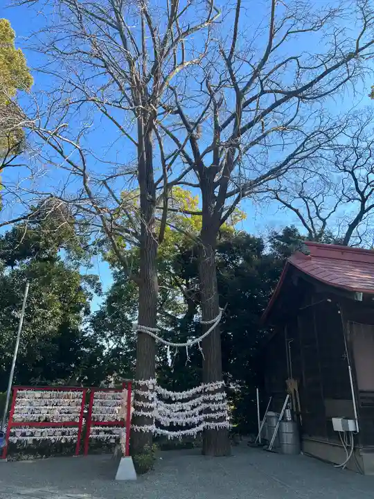 多摩川浅間神社の自然