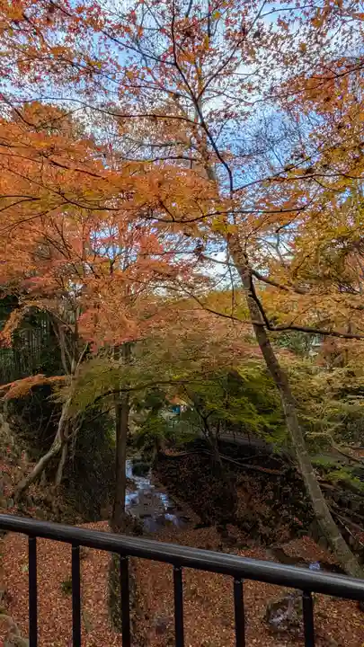 勝手神社(京都府)