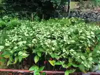 勧修寺(京都府)