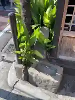 北沢庚申堂(東京都)