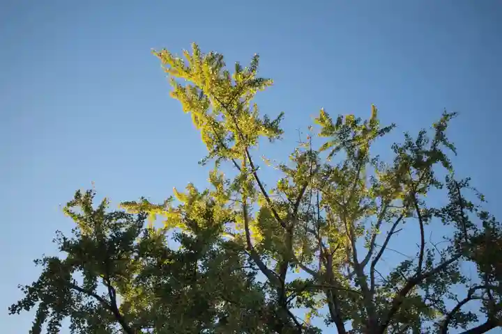三囲神社の自然