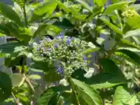 總社 和田八幡宮(福井県)