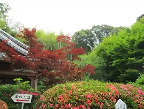華厳寺（鈴虫寺）の自然