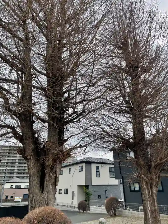 日乗院の{uncategorized: "未分類", other: "その他", undefined: "問題あり", building: "その他建物", grave: "お墓", sacred_gate: "鳥居", guardian: "狛犬", statue: "像", buddha: "仏像", history: "歴史", nature: "自然", garden: "庭園", animal: "動物", pagoda: "塔", temizu: "手水舎", mountain_gate: "山門・神門", sanctuary: "本殿・本堂", subordinate: "末社・摂社", art: "芸術", scenery: "景色", jizo: "地蔵", ema: "絵馬", goshuin: "御朱印", omikuji: "おみくじ", items: "授与品その他", amulet: "お守り", goshuincho: "御朱印帳", eats: "食事", festival: "お祭り", votive_dance: "神楽", shichigosan: "七五三参", wedding: "結婚式", experience: "体験その他", initially: "初詣", around: "周辺", anti_infection: "感染症対策"}