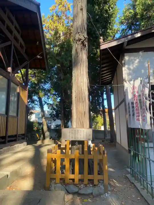 八坂神社(群馬県)