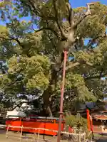 龍田神社の自然