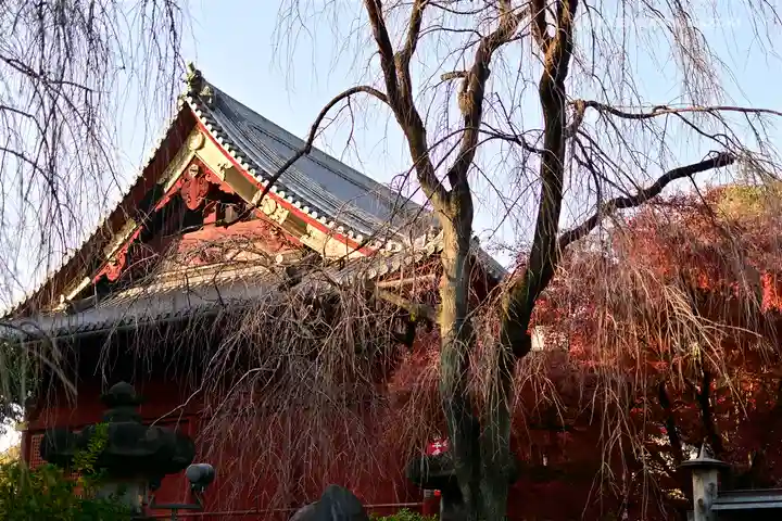 清水観音堂のその他建物