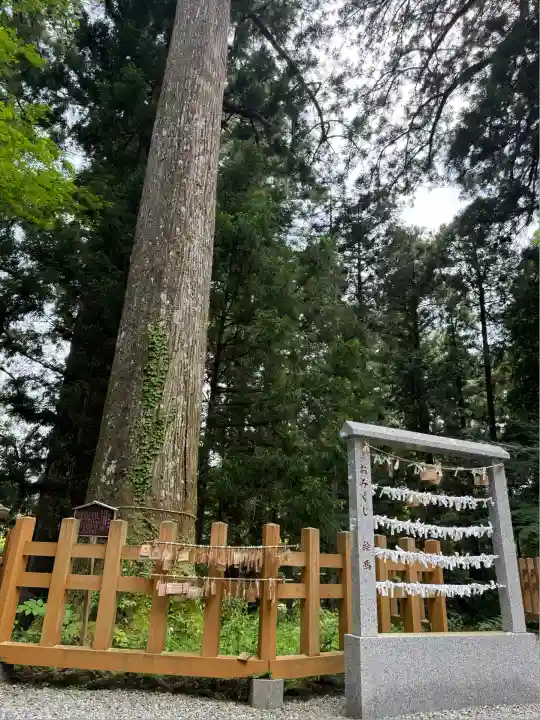 須山浅間神社(静岡県)