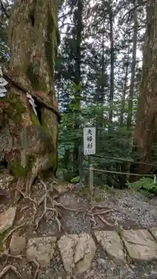 玉置神社(奈良県)