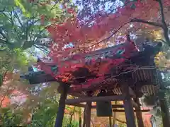 十輪寺(京都府)