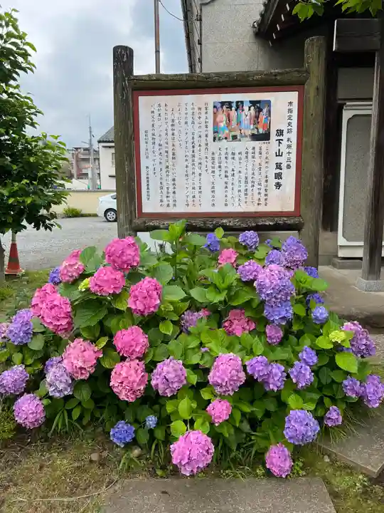 秩父札所十三番 慈眼寺の自然