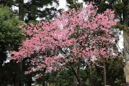 長橋神社の庭園