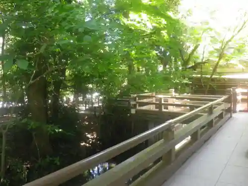 鶴岡八幡宮の庭園