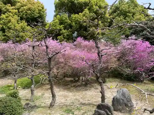 城南宮(京都府)