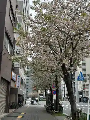 鷲神社の{uncategorized: "未分類", other: "その他", undefined: "問題あり", building: "その他建物", grave: "お墓", sacred_gate: "鳥居", guardian: "狛犬", statue: "像", buddha: "仏像", history: "歴史", nature: "自然", garden: "庭園", animal: "動物", pagoda: "塔", temizu: "手水舎", mountain_gate: "山門・神門", sanctuary: "本殿・本堂", subordinate: "末社・摂社", art: "芸術", scenery: "景色", jizo: "地蔵", ema: "絵馬", goshuin: "御朱印", omikuji: "おみくじ", items: "授与品その他", amulet: "お守り", goshuincho: "御朱印帳", eats: "食事", festival: "お祭り", votive_dance: "神楽", shichigosan: "七五三参", wedding: "結婚式", experience: "体験その他", initially: "初詣", around: "周辺", anti_infection: "感染症対策"}