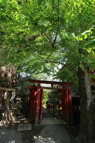 秩父神社の鳥居