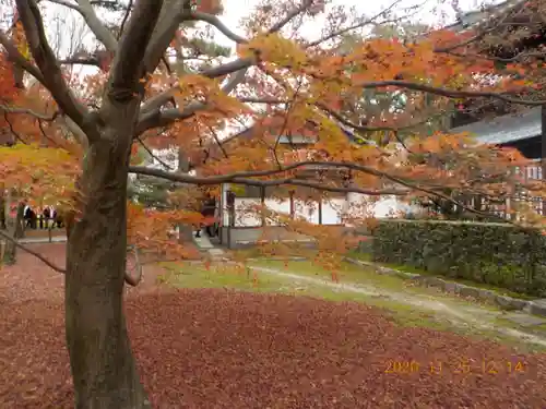 東福禅寺（東福寺）(京都府)