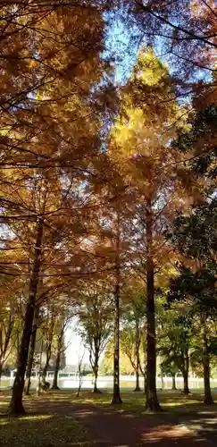徳島稲荷神社の自然