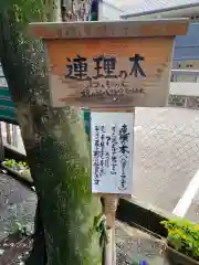 蝮ヶ池八幡宮の自然