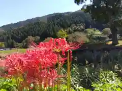 朝倉神社(福井県)