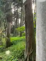大宮温泉神社(栃木県)